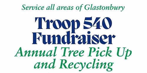 Annual Christmas Tree Pickup