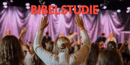 Brave Love Bibelstudie