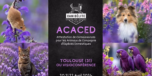 FORMATION ACACED & TAV \ud83d\udc36\ud83d\udc31\ud83d\udc2d\ud83d\udc39\ud83d\udc30