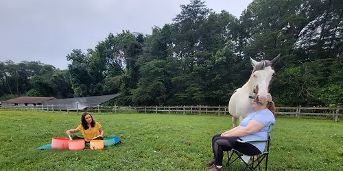 EquiMind: Sound Healing Meditation with Horses