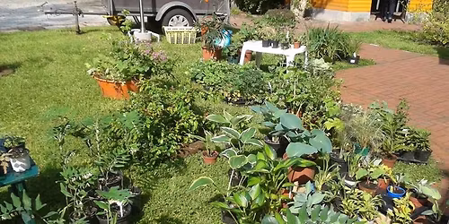 Pflanzenb\u00f6rse 2026 - Tauschen, Kaufen , Verschenken oder Verkaufen