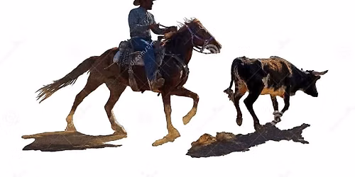 3 Man Cattle Push Buckle Series Show 2