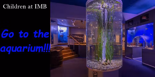 Children at IMB go to the aquarium! 