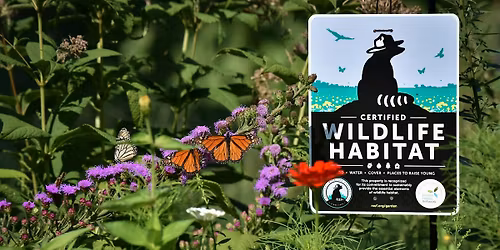 Gardening for Wildlife Class