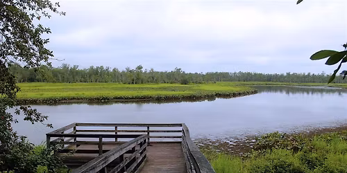 Trail Workday at Cumberland Marsh Preserve