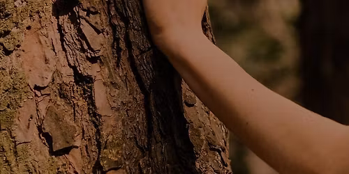 Community Walk + Coffee for Women in North Vancouver