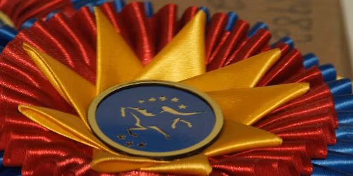 TASHA Holiday Horse Show