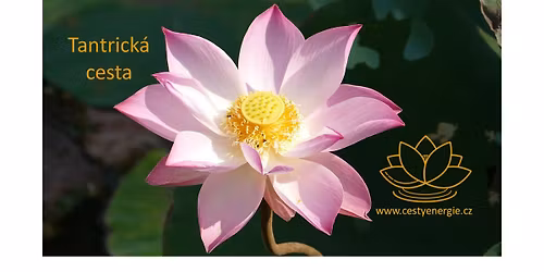 Pobytov\u00fd v\u00edkend 3 - Ti\u0161nov u Brna