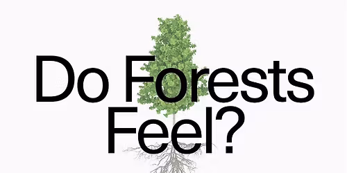 Science & Society: Do Forests Feel?