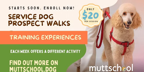 Service Dog Prospect Walks