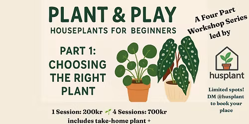 Plant & Play: Houseplants for Beginners\u2014 Part 1 Choosing the Right Plant