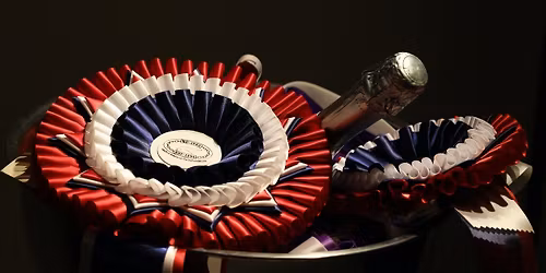 Utstilling med valpeshow for dachshund