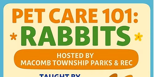 Pet Care 101: Rabbits