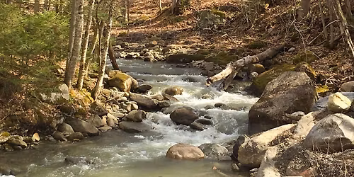 Randonn\u00e9e Marmite aux sorci\u00e8res! 