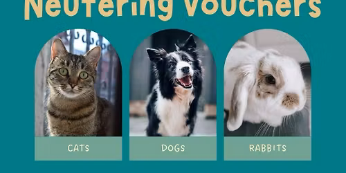 Pet Neutering Vouchers