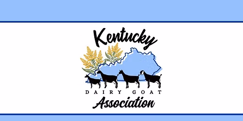 Lap AI clinic with Dr. Katie Jackson