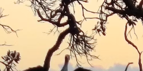 6 Day Yoga and Hiking Retreat