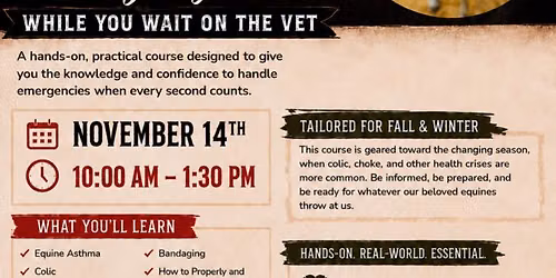 Equine First Aid & Emergency Course