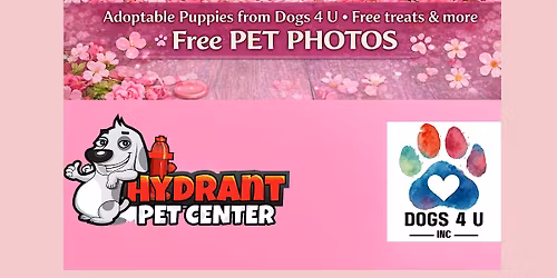 Puppy Love for Mom at Hydrant Pet Center!