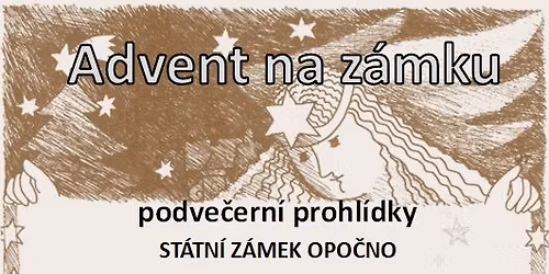 Zkr\u00e1cen\u00e1 v\u00e1no\u010dn\u00ed prohl\u00eddka podve\u010dern\u00ed