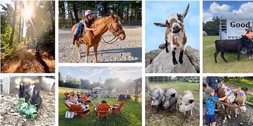 Everlasting Blooms: Create Your Own Paper Flower