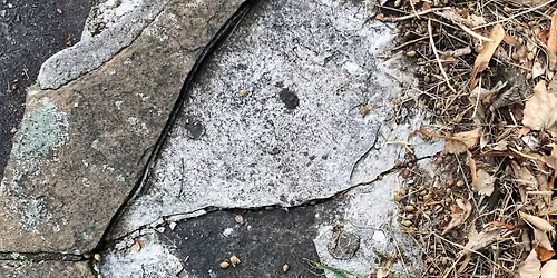 DARGEBOTEN | I See Faces - Ausstellungseröffnung — Das PLUS am Neumarkt