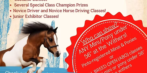 WPtHA All Are Small - Miniature Horse and Pony Show