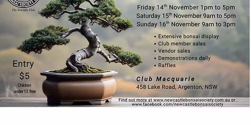 Newcastle Bonsai Society Annual Show