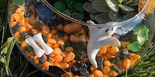 Boo-tanical Terrarium Workshop - Halloween Themed!