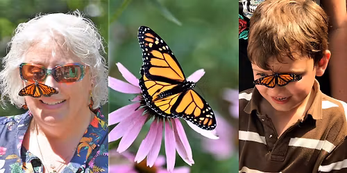 Butterfly Bonanza