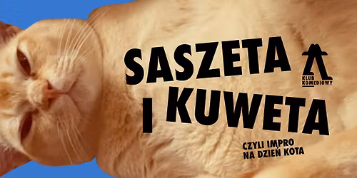 Saszeta i kuweta: NIGDZIE NIE JAD\u0118, BO M\u00d3J KOT NIE WSZED\u0141 DO TRANSPORTERA | [02.05]