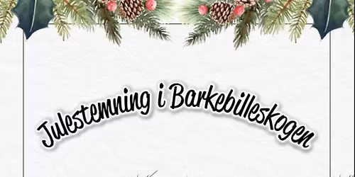 Julestemning i Barkebilleskogen