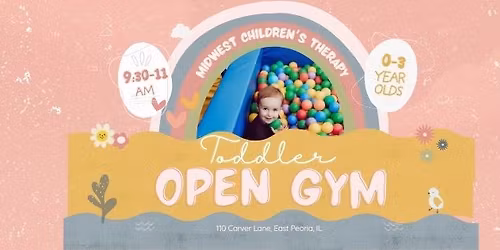 Toddler Open Gym