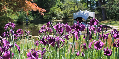 5th Annual Taste of the Park Dinner Series: The Oriental Garden