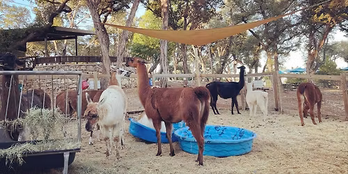 Wild West Roundup Weekend