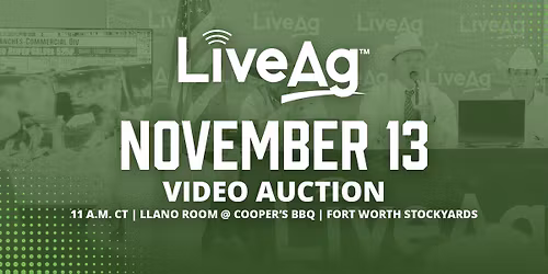 November 13 - Fort Worth Stockyards Video Auction