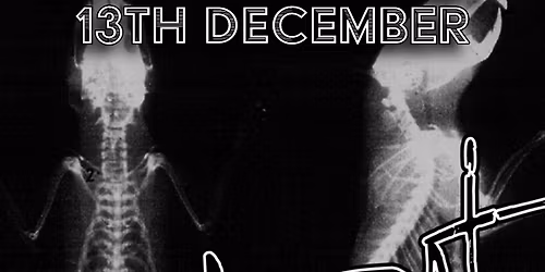 Deadrat at Ighten Leigh Social Club