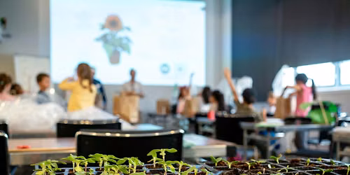 Holiday workshops: Architecture for plants (Year 5 and 6)