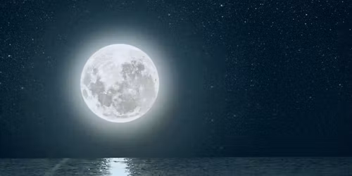 Trans Day of Remembrance 2025