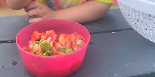 Salsa Making