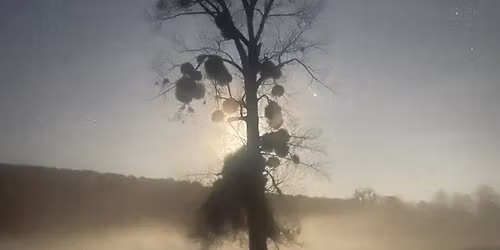 A Winter Solstice Celebration