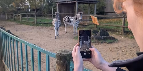 Phone Photography for Animal Keepers