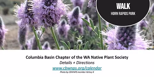 Plant ID and Wildflower Walk with Janelle