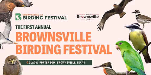 Brownsville Birding Festival 2026