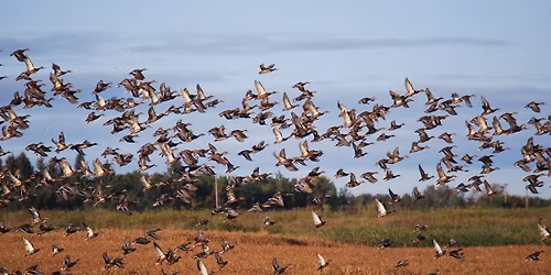 Lloydminster Gun & Outdoor Sportsman Show
