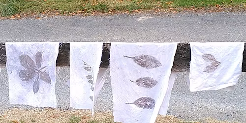 Ecoprint - Martelage de plantes sur textile ou papier