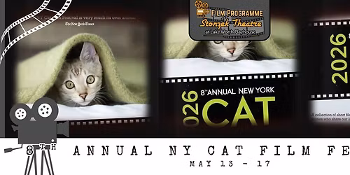 8th Annual NY Cat Film Festivals - Films