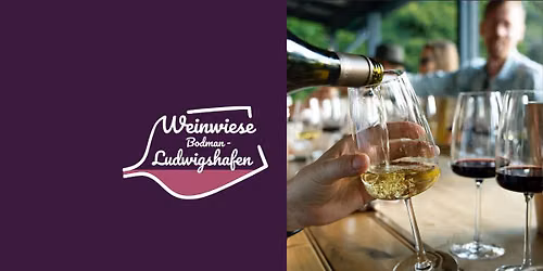 Weinwiese Bodman-Ludwigshafen | Weinfest 2026