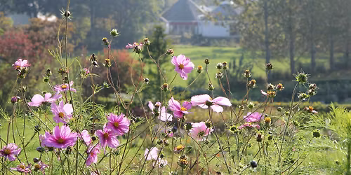 Sommerretr\u00e6te p\u00e5 Tigerens Rede