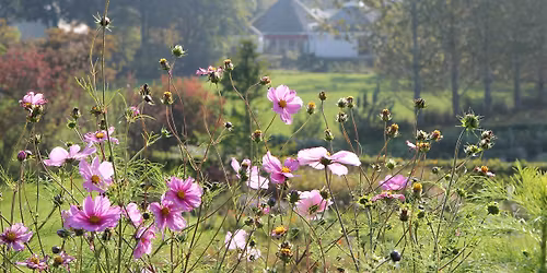 Sommerretr\u00e6te p\u00e5 Tigerens Rede